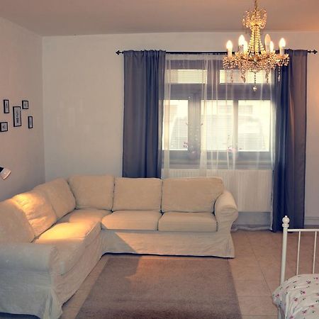 Apartmany Pod Putimskou Branou 皮塞克 外观 照片